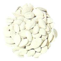 Pumpkin Seeds