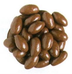 Chocolate Covered Almonds